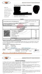 pdf تأمين أمان