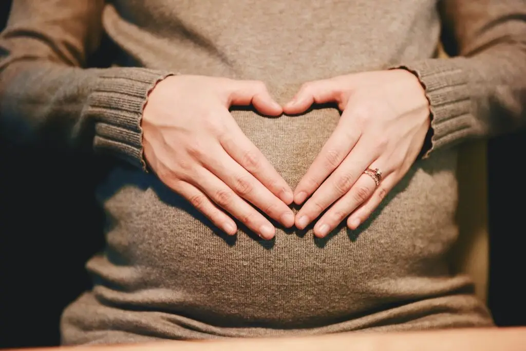 traveling during pregnancy