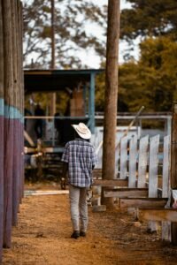 Workaway وHelpX: كيف تسافر وتقيم بحرية مقابل العمل workaway وhelpx