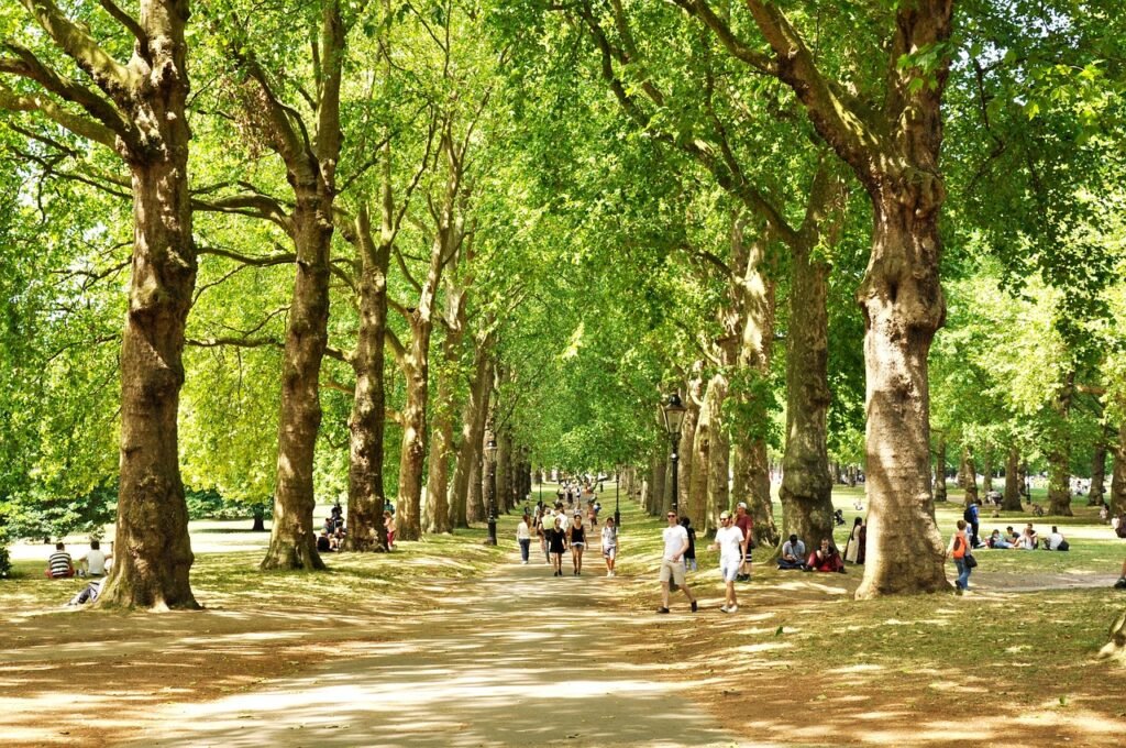 41 وجهة يمكنك دخولها بتأشيرة بريطانيا green park